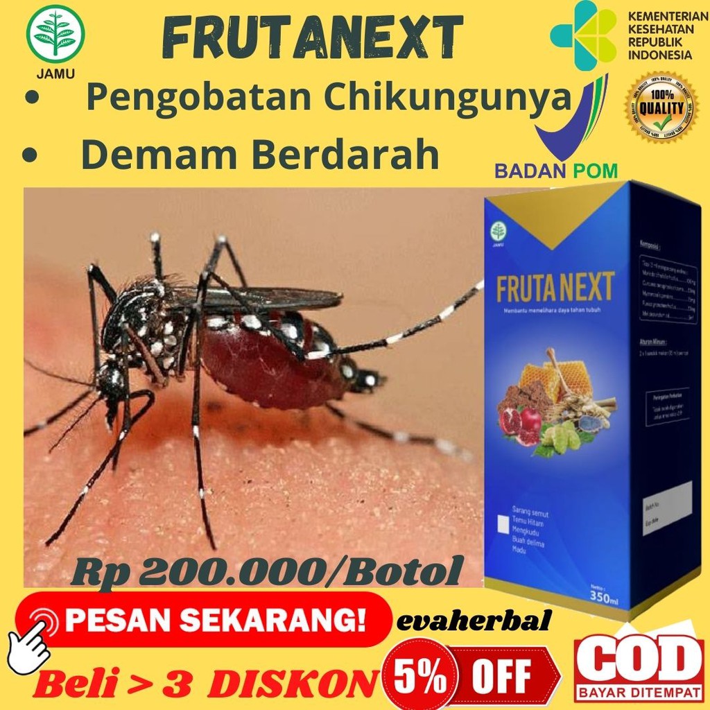 0BAT HERBAL FRUTANEXT OBAT ALAMI PENYAKIT CHIKUNGUNYA