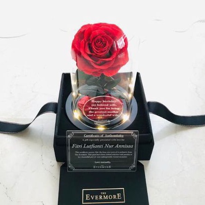 Mawar Abadi Glass Dome Rose Bisa Custom Size Princess