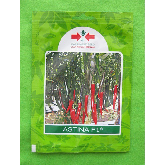 Benih Cabai Cabe Besar Hibrida Astina F1 Pack 125 Biji - Panah Merah