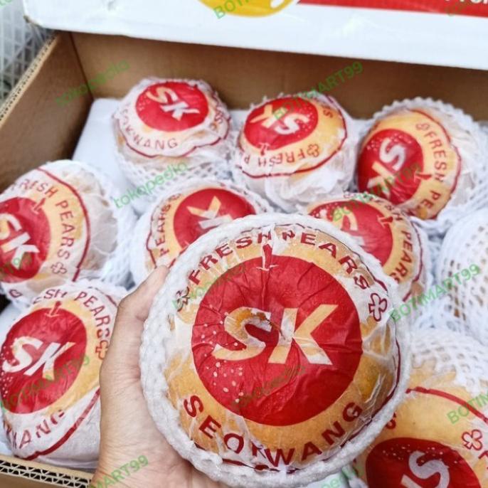 

BUAH PEAR SINGO KOREA FRESH SK/SU 1BOX 15KG FH51515ED