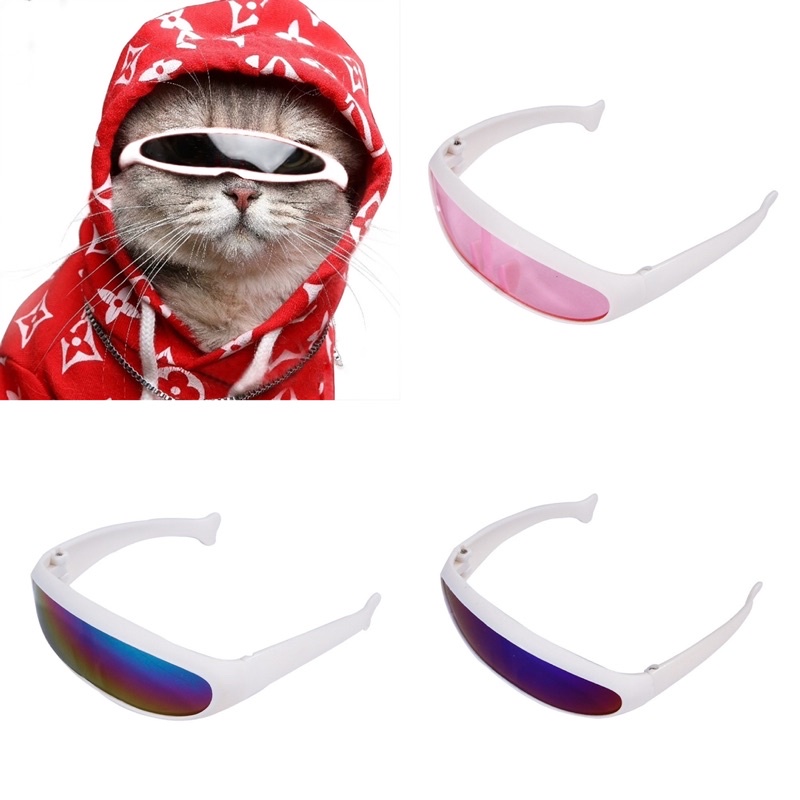 pet eminem sunglass