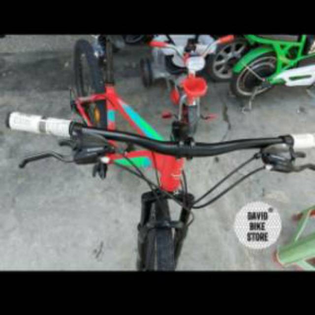 element mtb 26 pandora 1.0