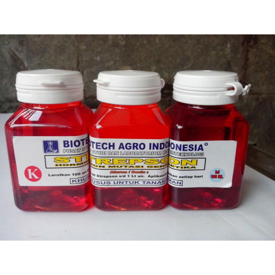 Hormon Tanaman Strepson 100 ml Terlaris