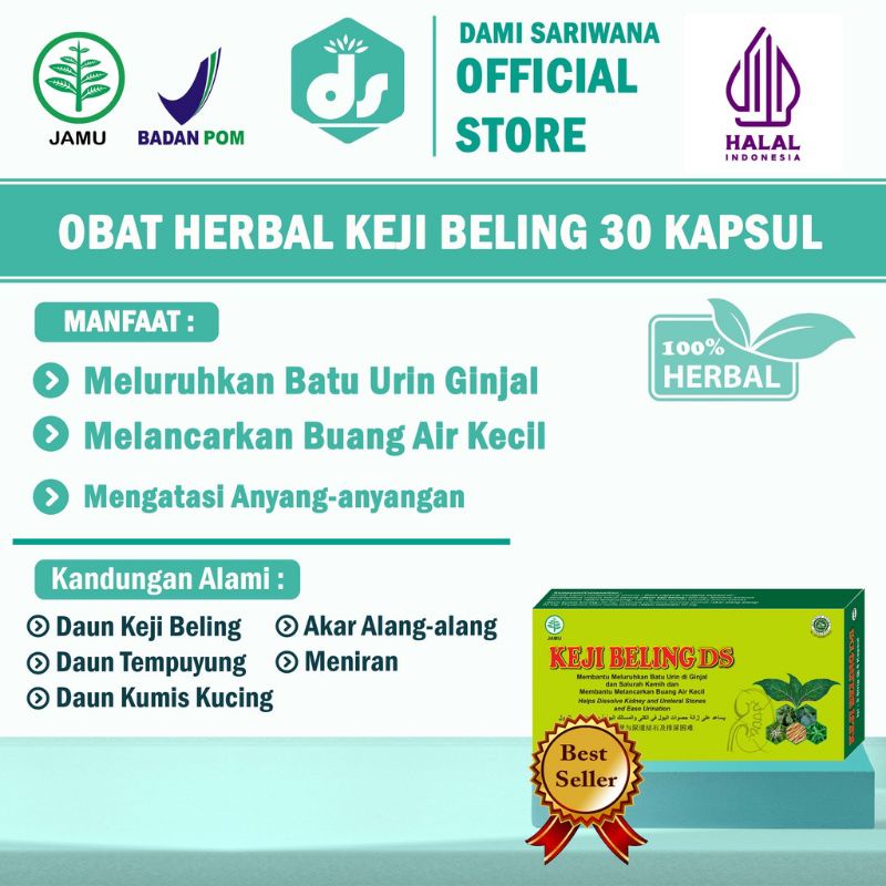 kapsul ekstrak keji beling
