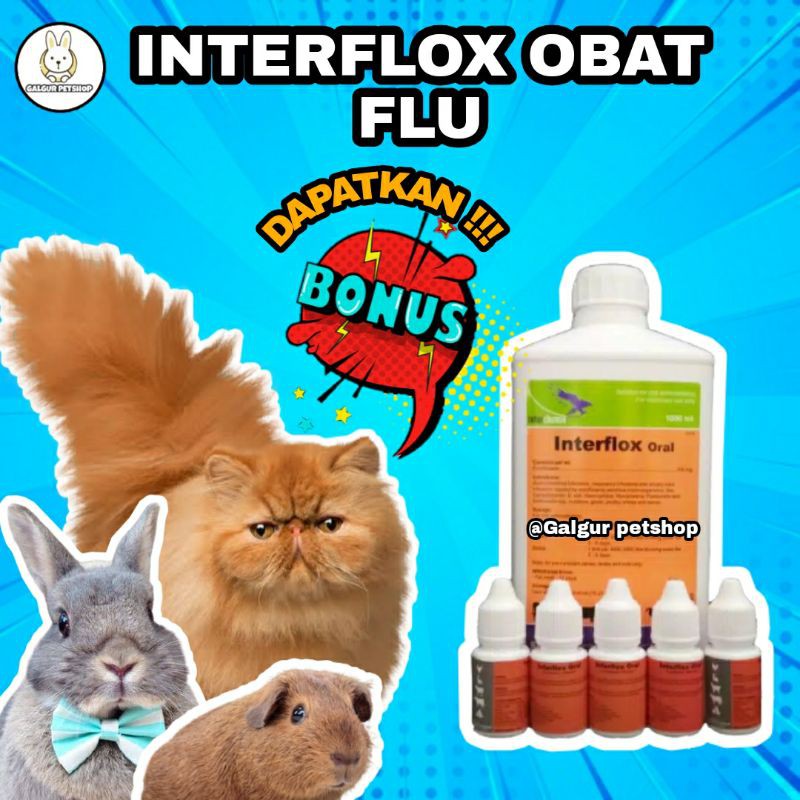 INTERFLOX ORAL OBAT FLU KUCING KELINCI ANJING MARMUT