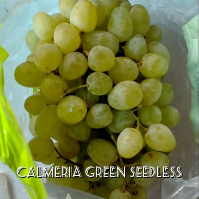 

Anggur Calmeria Green Seedless Aussie