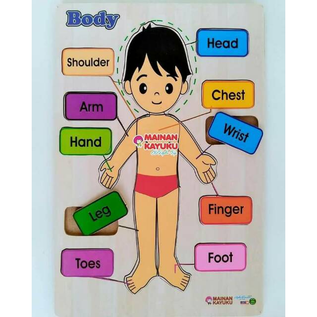 mainan anak puzzle bahasa Inggris anggota tubuh putri agdia toys