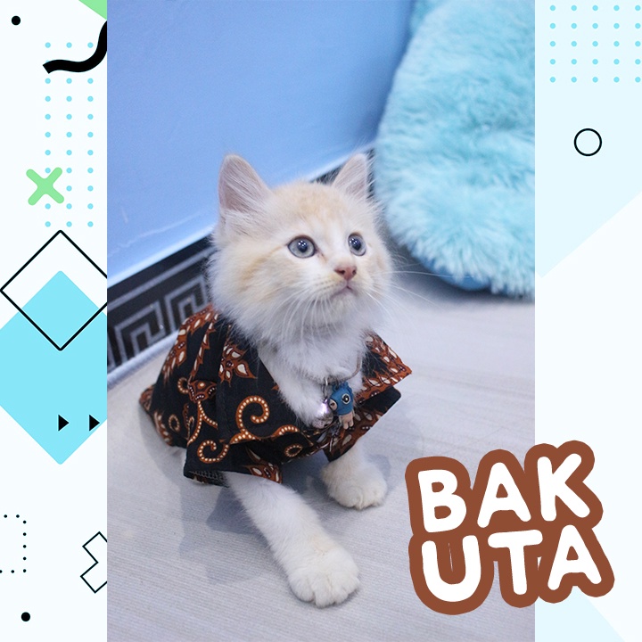 Baju kemeja lucu untuk kucing motif batik No #132 / Baju Kucing tangerang murah / baju kucing lucu size S-XL