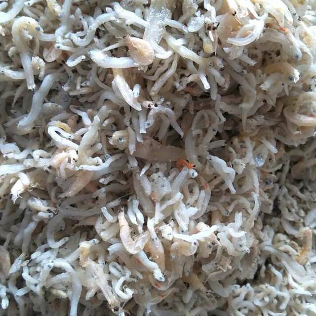 

Ikan teri halus campur kecepe 500 gram