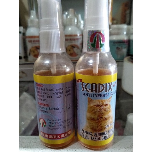 SCADIX Anti Infeksi Kulit 60 ml