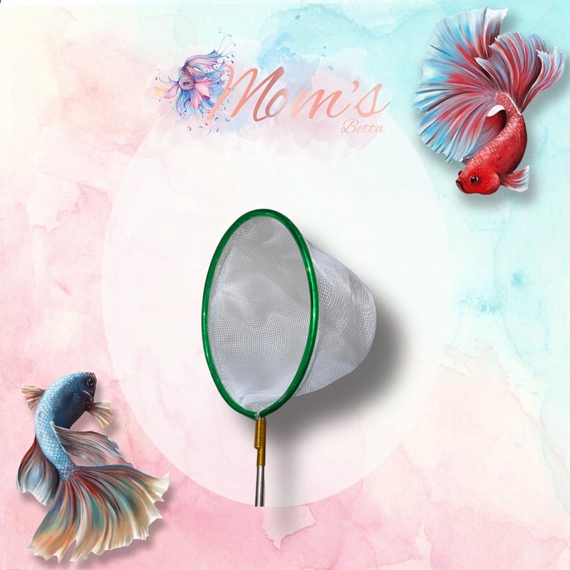 saringan burayak ikan cupang