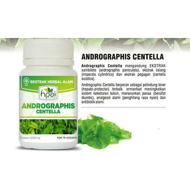 OBAT LIVER,DLL~ANDROGRAPHIS CENTELLA 100% ORIGINAL HNI HPAI 75 KAPSUL
