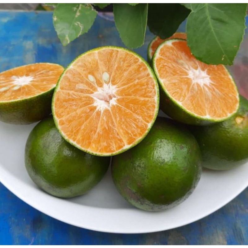 

Jeruk siam madu