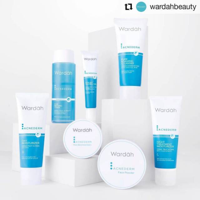 1 paket Wardah acnederm series