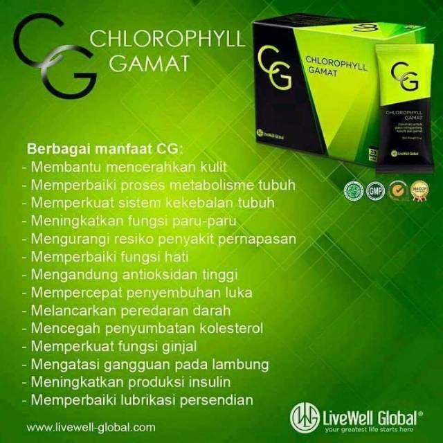 Chlorofil Gamat