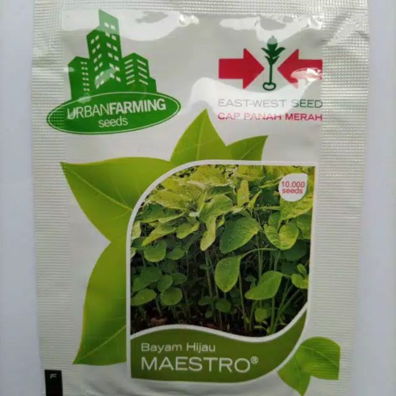 Jual Benih Bayam Hijau Maestro | Shopee Indonesia