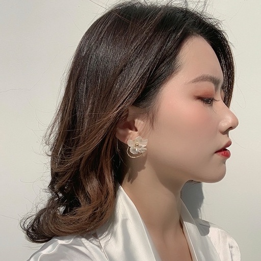 Fashion Sederhana Kristal Bunga Anting-Anting Girly Temperamen Super Peri Anting-Anting Aksesoris Wanita