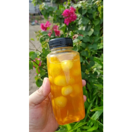 

Madu Bawang Lanang