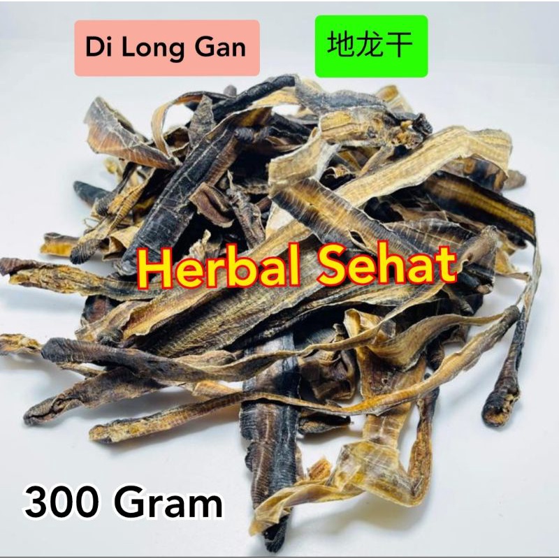 

300 gram - Cacing Tanah Kering Asli Super - Perut Bersih - Di Long Gan Obat Tipes Dan Demam Herbal
