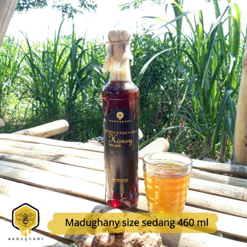 

Madughany | Madu Hutan | Madu Liar | Madu Hitam 650 gram