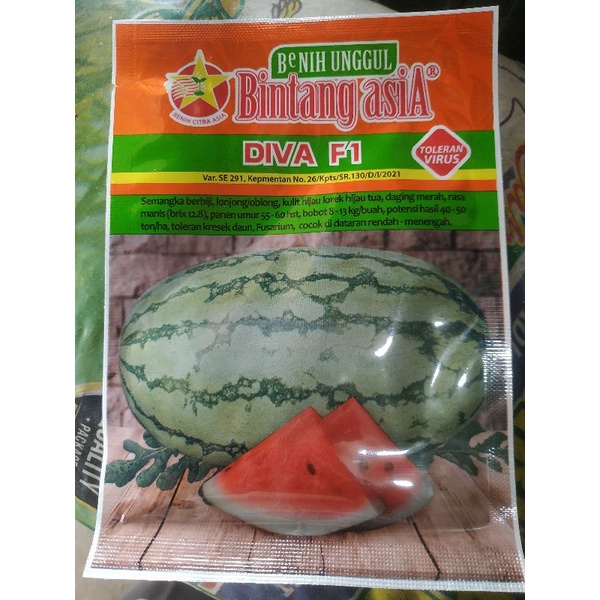 Benih semangka Diva 20g