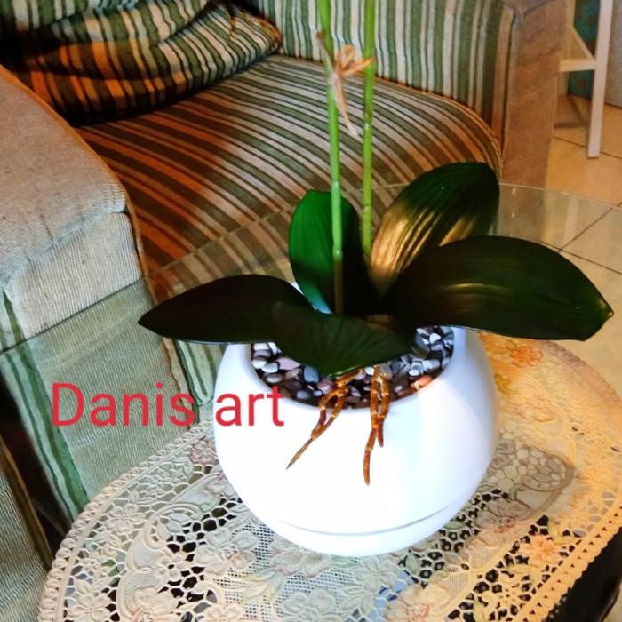 Anggrek premium Latex/ Real anggrek/ Anggrek palsu/ Anggrek latek