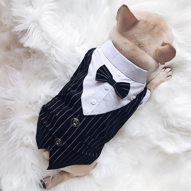 ★〓YUFeiPet〓★ Cat Suit Thin Section Dog Shirt Dress Pet Home Service Dog's Clothes Cat Short Sleeve Leisure Fashion Pet Clothing