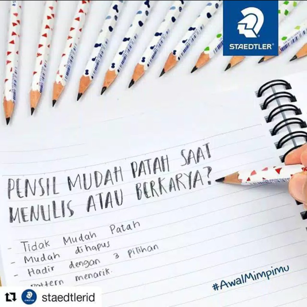 

Pensil STAEDTLER 2B Geometric
