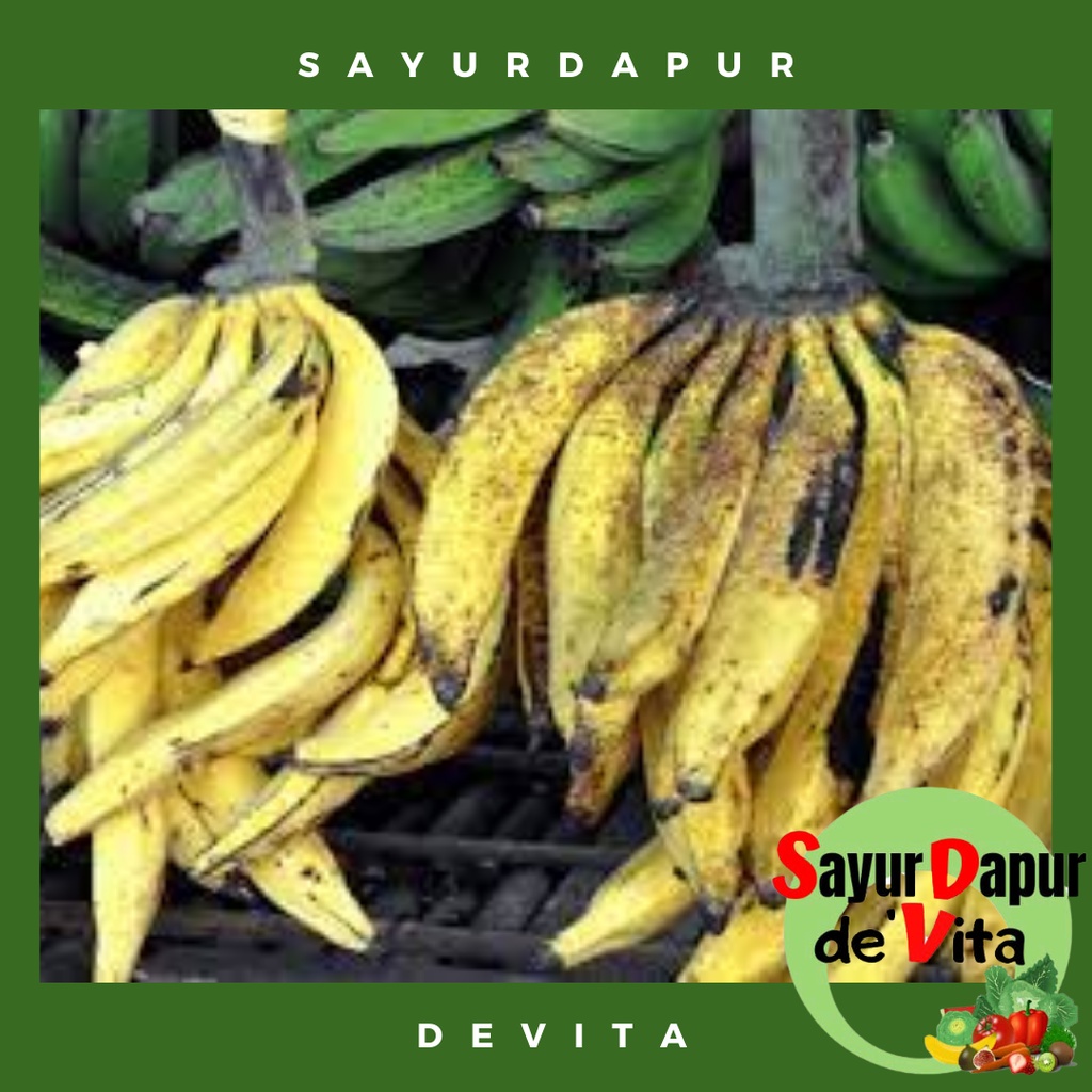 

Buah Pisang Candi, persisir 1500 gram