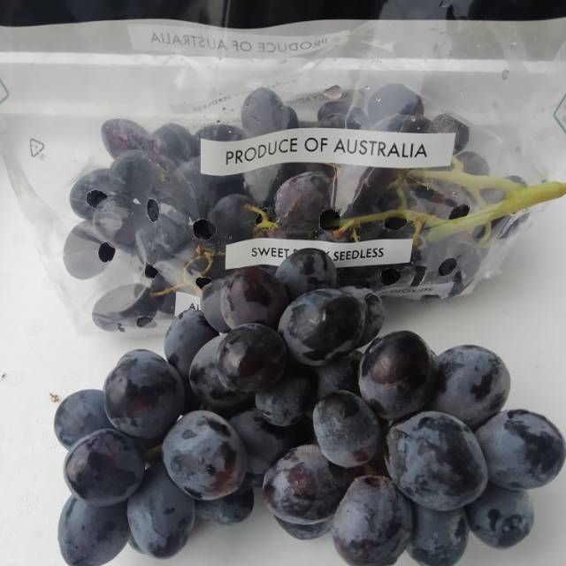 

Anngur autumn Australia Manis garing tanpa biji