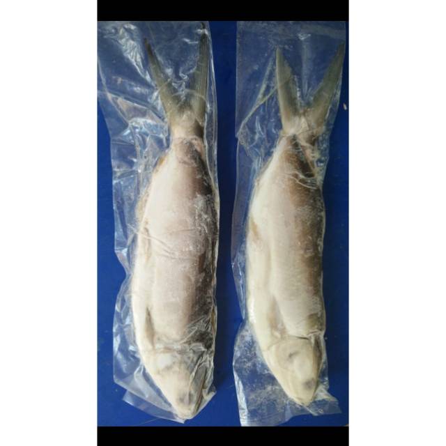 

BANDENG TANPA DURI 1 KG ISI 4-5