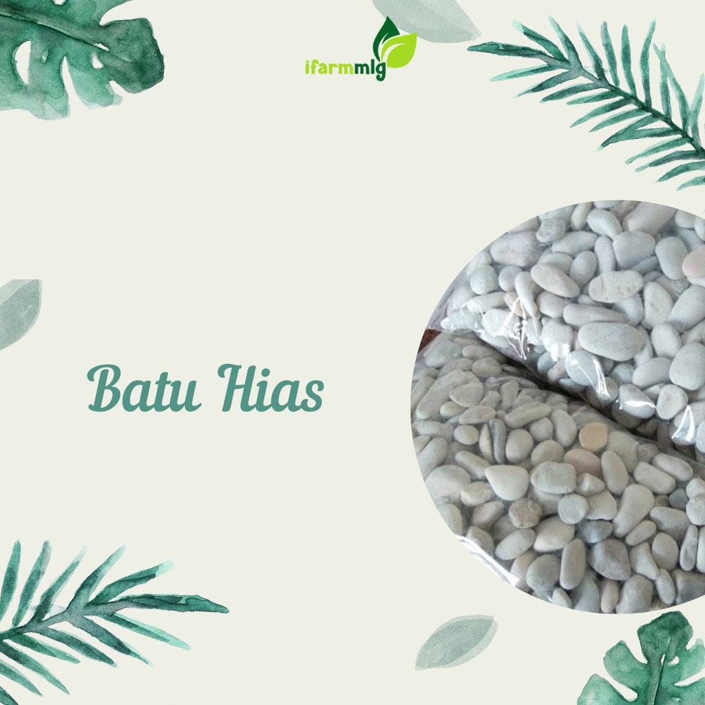 Batu Hias Aquarium - Batu Aerator Aquarium - Batu Aquascape - Batu Hias Tanaman Besar / Kecil 500gr