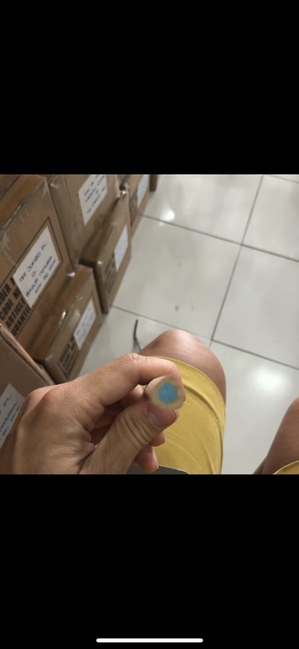 Pensil warna fantasia jumbo 12 warna sisa export kemasan dus-7