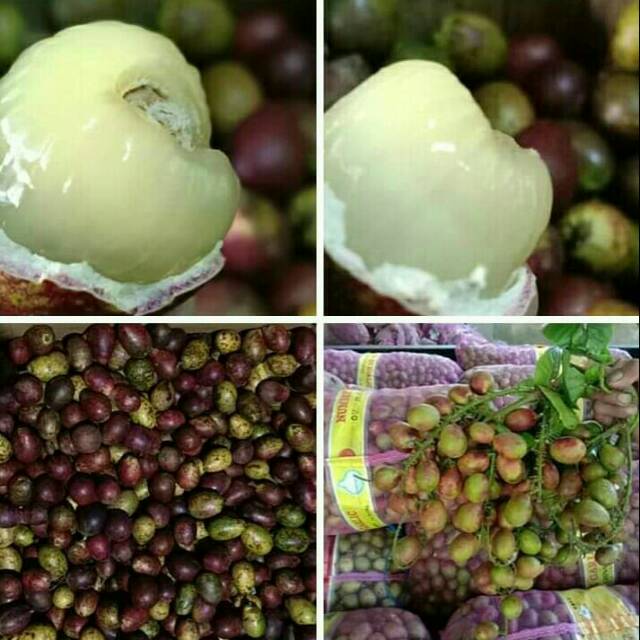 Matoa Pati Fresh 1 kg / Buah Langkah / Buah Manis