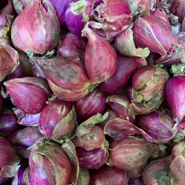 

Bawang merah brebes Super 1kg