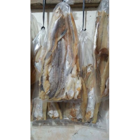 

Ikan Asin Gabus Laut SUPER