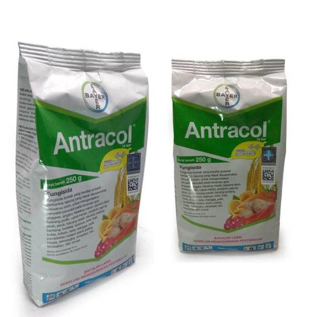 Fungisida Antracol 70WP 250 gram - obat jamur