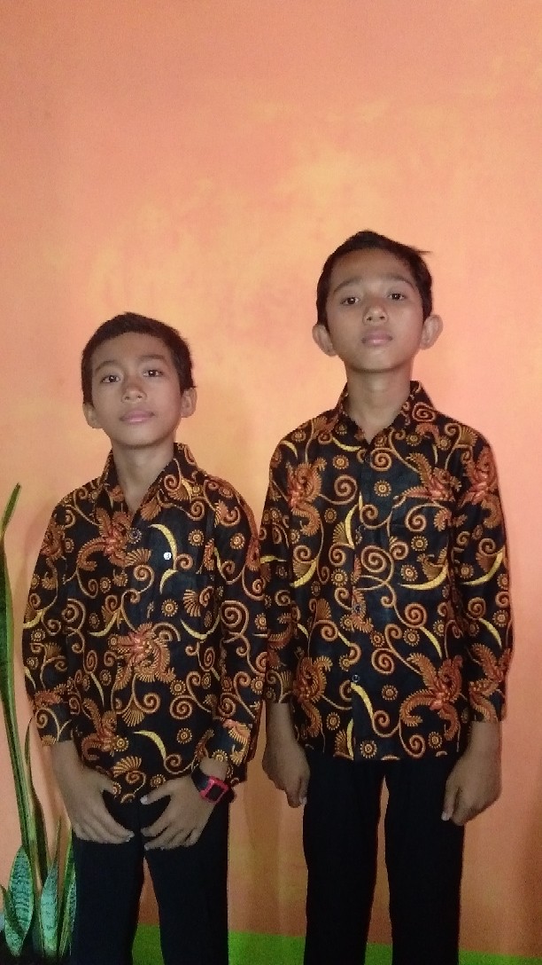 (bisa Cod) Baju Batik Anak Laki-laki Lengan Panjang Bisa Buat Sekolah Hari Batik//usia 2-10 Tahun