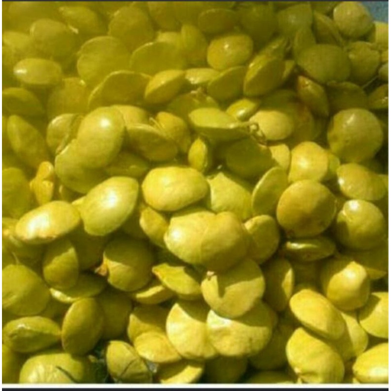 

jengkol muda 1kg