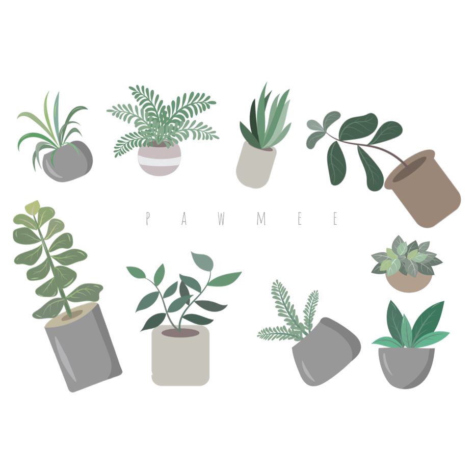 

Sticker aesthetic - Deco Journal - Pawmee - Mini stiker tanaman satuan