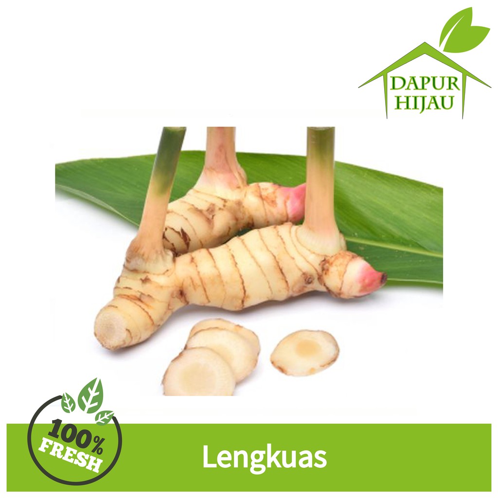 

Lengkuas - Laos / Lengkuas 250 Gram - Lengkuas Organik (Harga Murah!!)