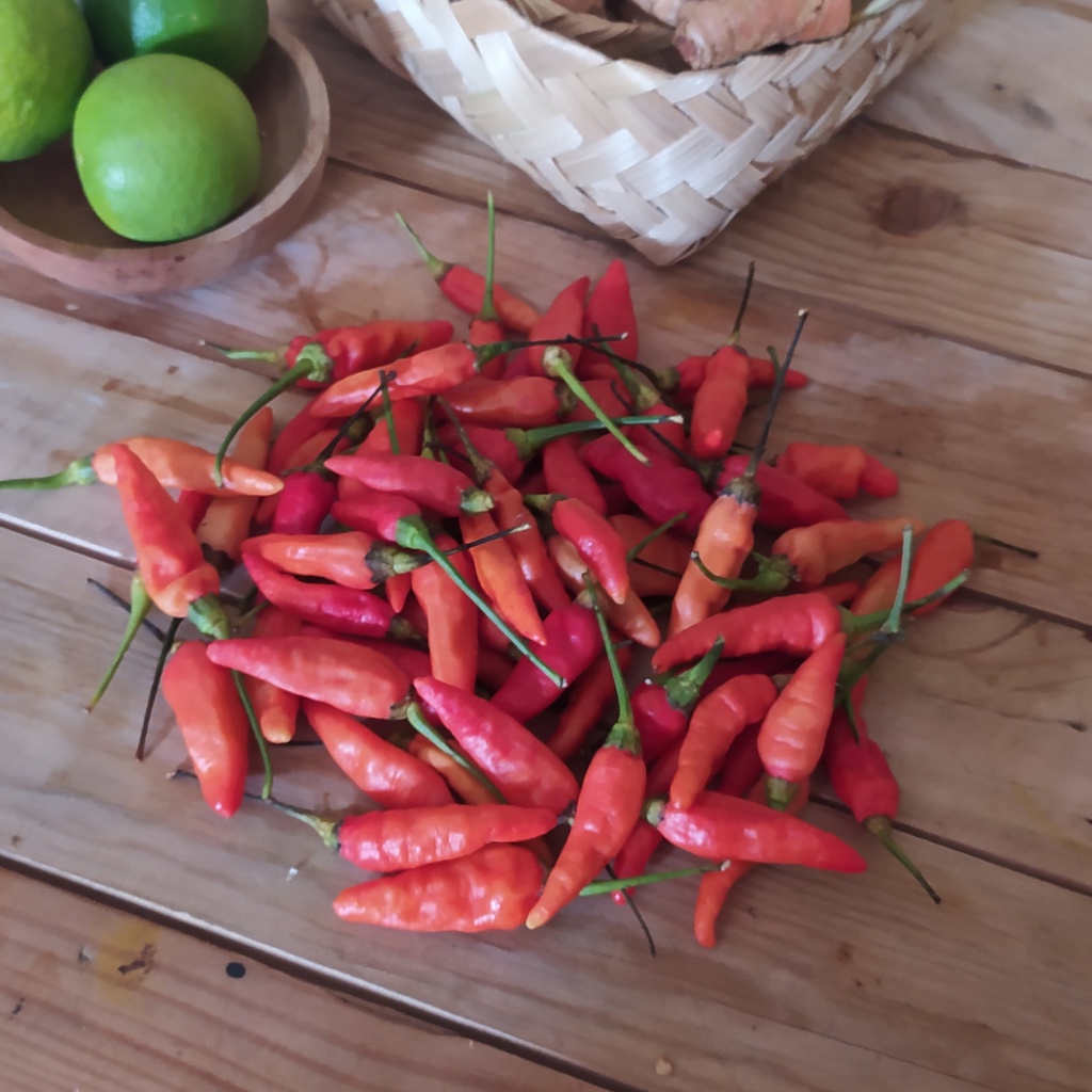 

Cabe Jablai Segar 250 gr Cabe Rawit Pedas Cabe Segar Sayur Online Cikarang