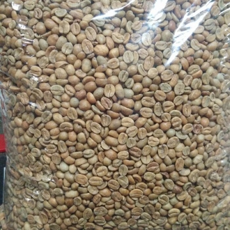 

Greenbean kopi arabika wine