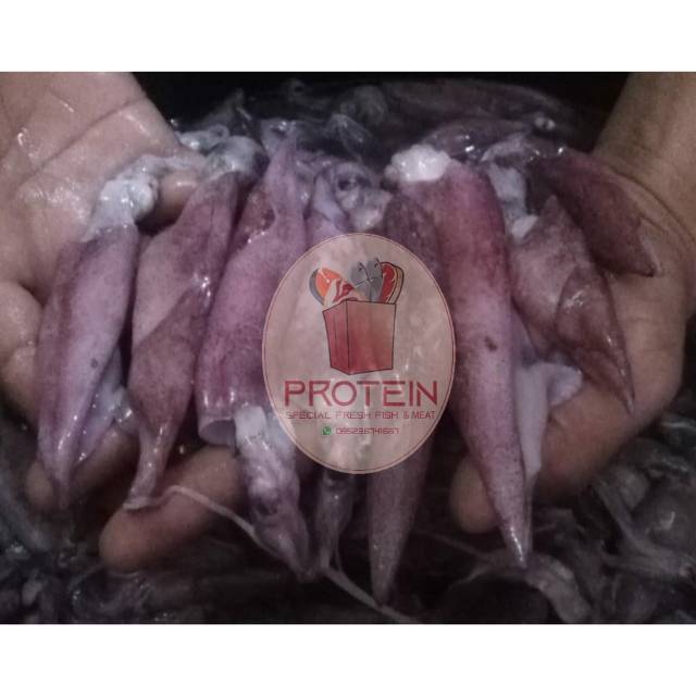 

Cumi Cumi Fresh [MURAH]