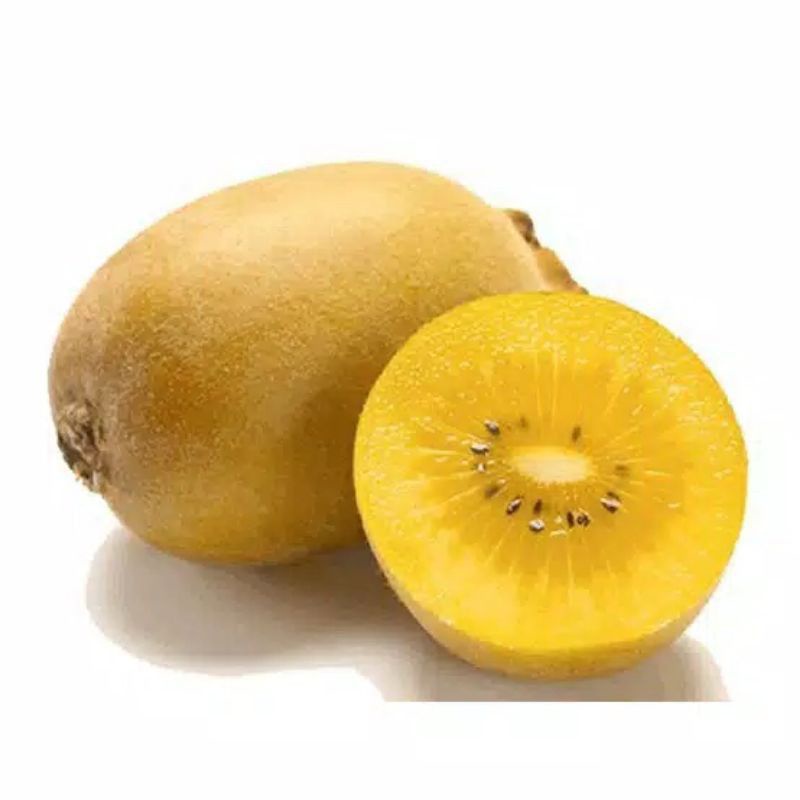 tanaman bibit buah kiwi siap berbuah