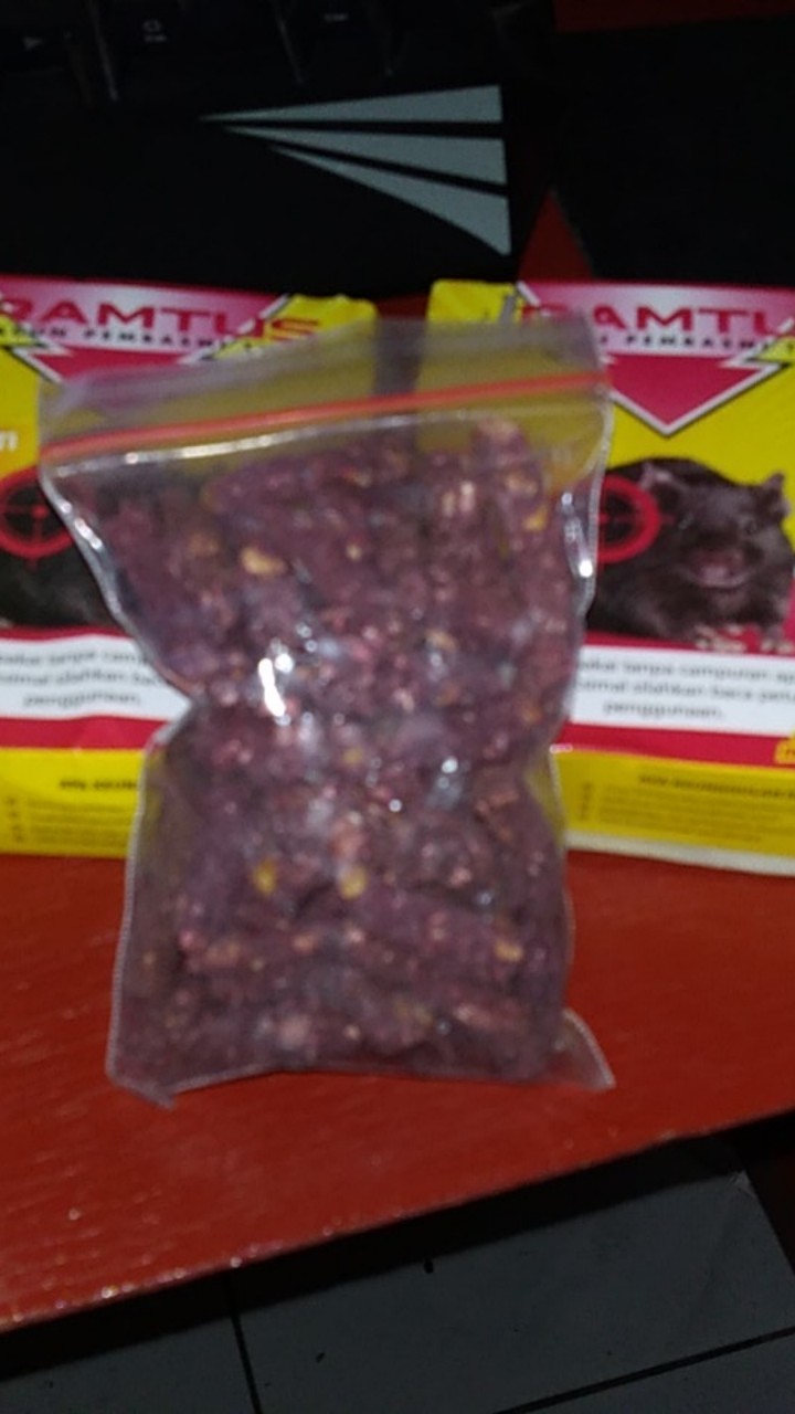 Ramtus Racun Tikus Got Curut Paling Ampuh Pembasmi Tikus Dirumah Racun Tikus Di Mesin Mobil 2 Pack