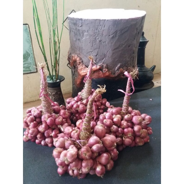 

Bawang Merah ikat/ Dongkolan Super,Probolinggo