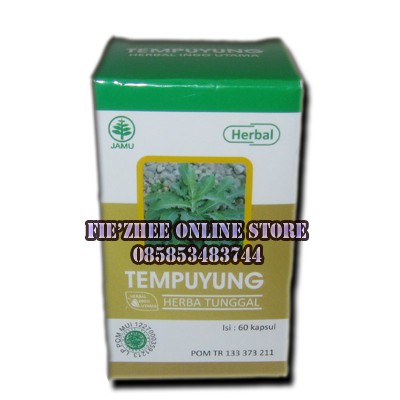 

Tempuyung Herbal Indo Utama