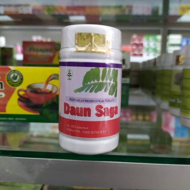 

Daun Saga