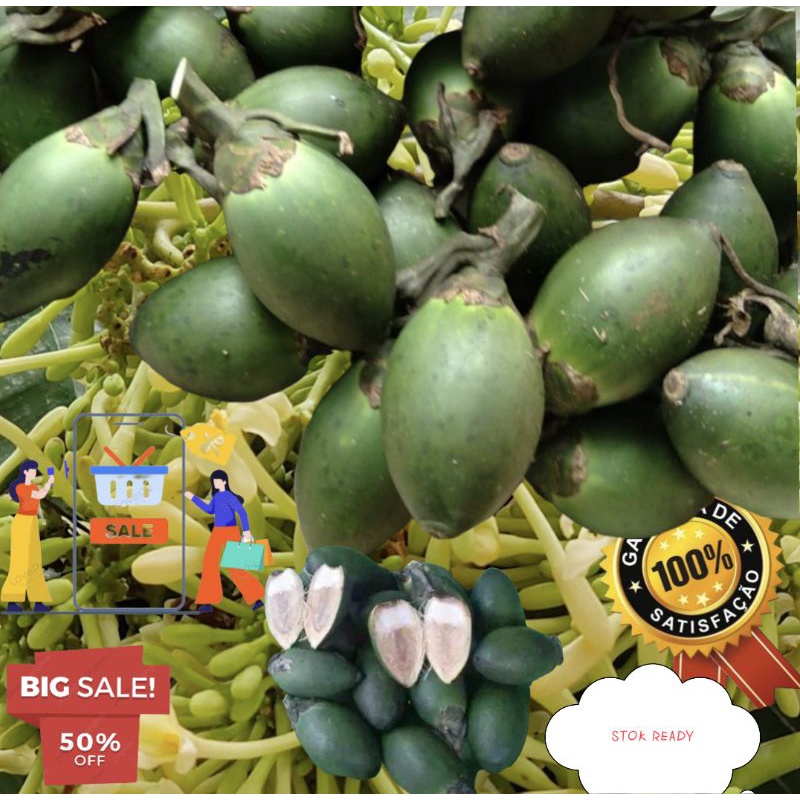 

Buah Pinang Muda-Buah Jambe Muda Organik Food 500 Grm Izin PIRT